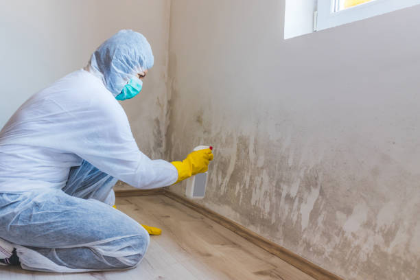 Bathroom Mold Removal assessment in East Lansing bathroom